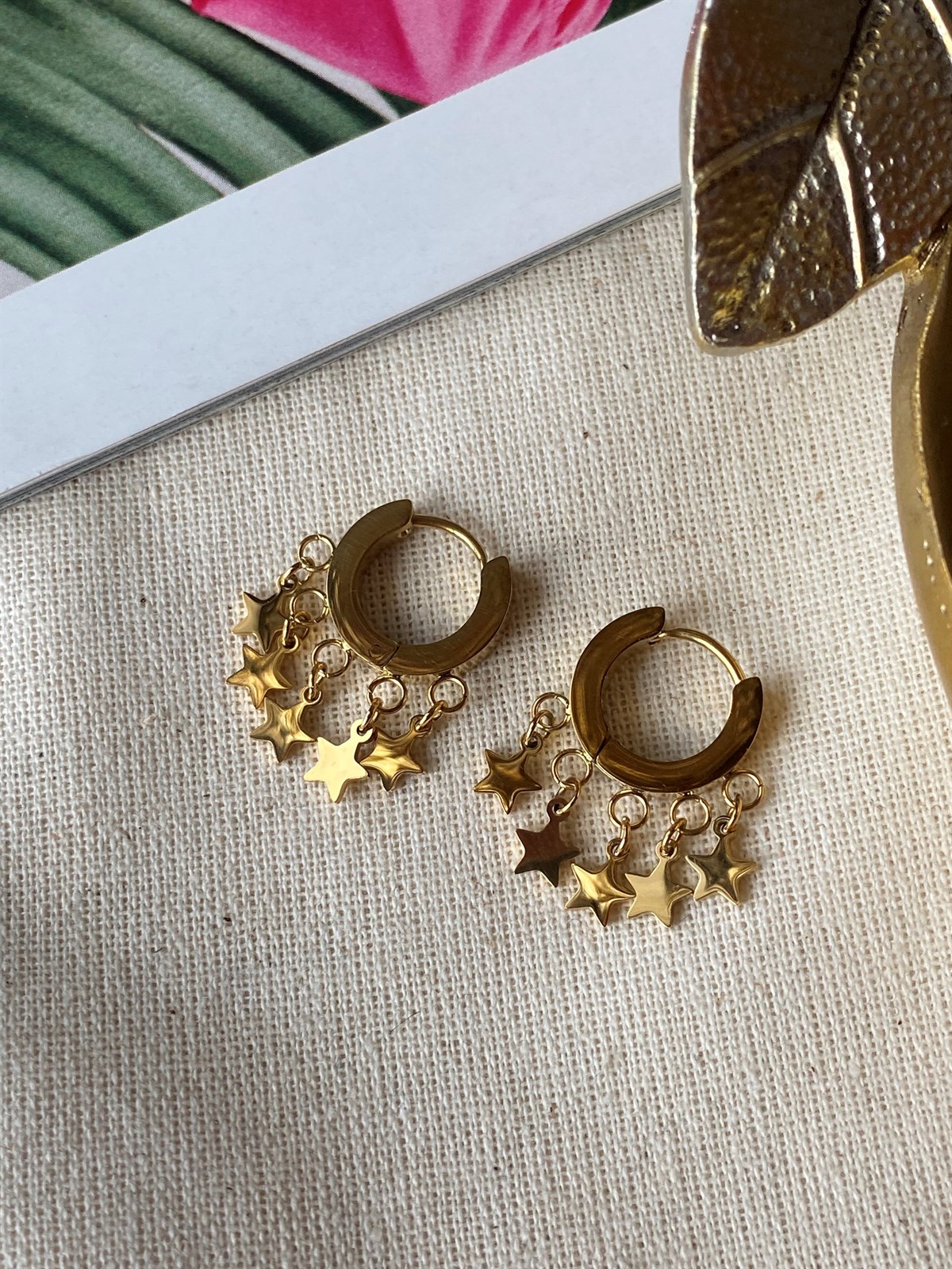 Steel Star Shakira Earrings