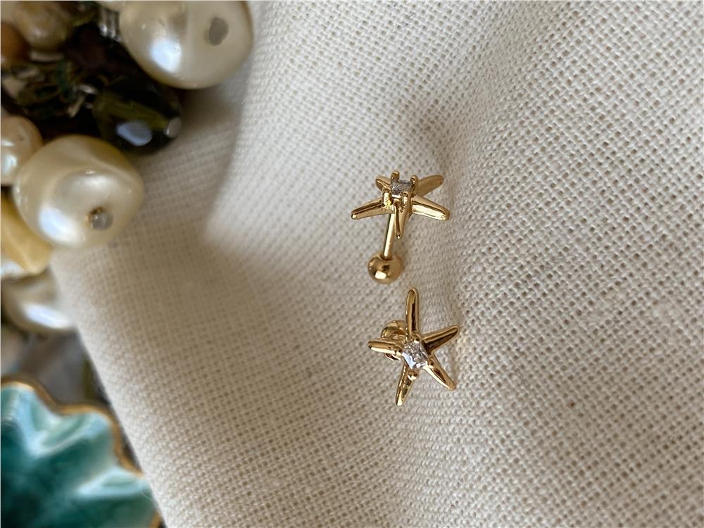 Denizyıldızı Piercing