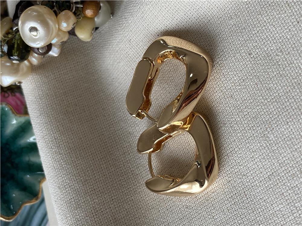 Özel Seri Kıvrımlı Oval Küpe