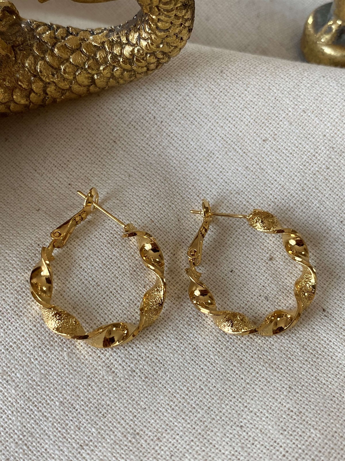 Shiny Twirl Earrings