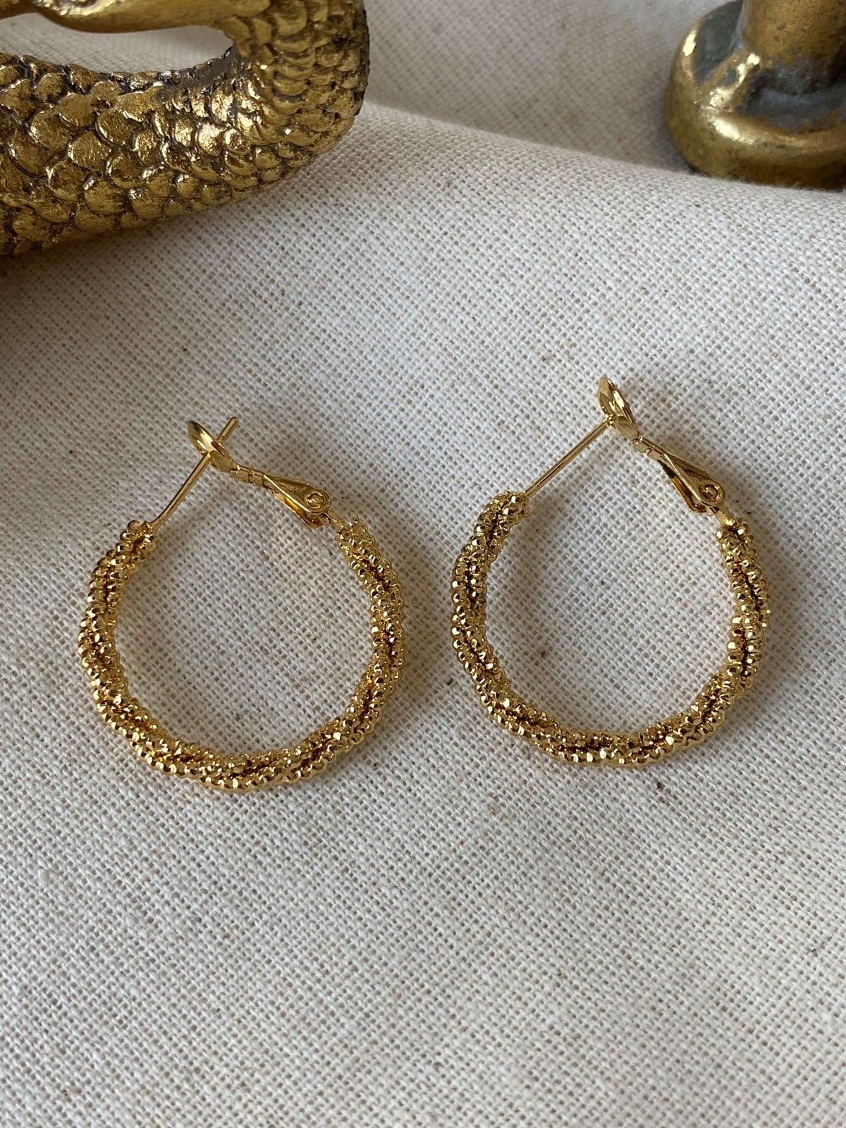 Shiny Hoop Earrings