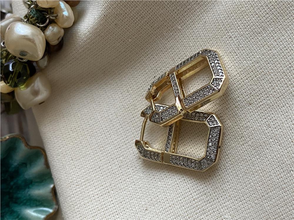 Silver Taşlı Serenay Küpe