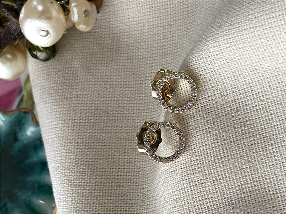 VIP 14K Mini Circle Küpe