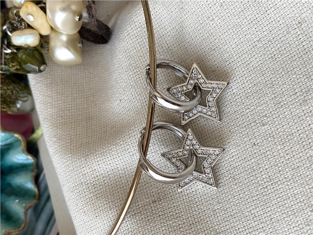 VIP Silver Star Küpe