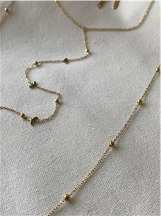 Çelik Dorikalı Kuş Model Vücut Zinciri