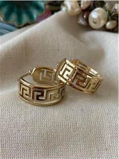 Çelik Greg Desen Küpe