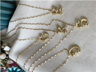 Çelik Taşlı Harf Kolye