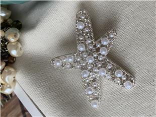 Silver Starfish Toka