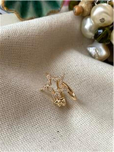 Stern Kıkırdak Küpe