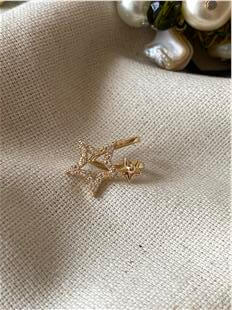 Stern Kıkırdak Küpe