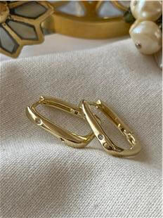 VIP 14K Mini Taş Detaylı Oval Küpe