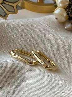 VIP 14K Mini Taş Detaylı Oval Küpe