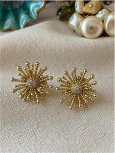 VIP 14K Pırıltı Küpe