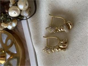 VIP 14K Taşlı Burgu Küpe