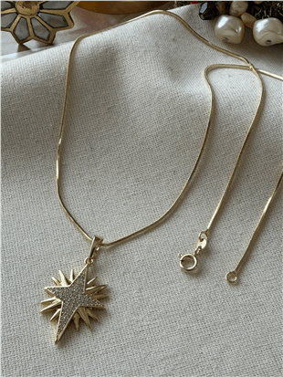 VIP 14K Taşlı Tasarım Yıldız Detaylı Kolye