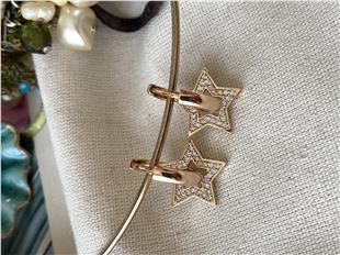 VIP Gold Star Küpe