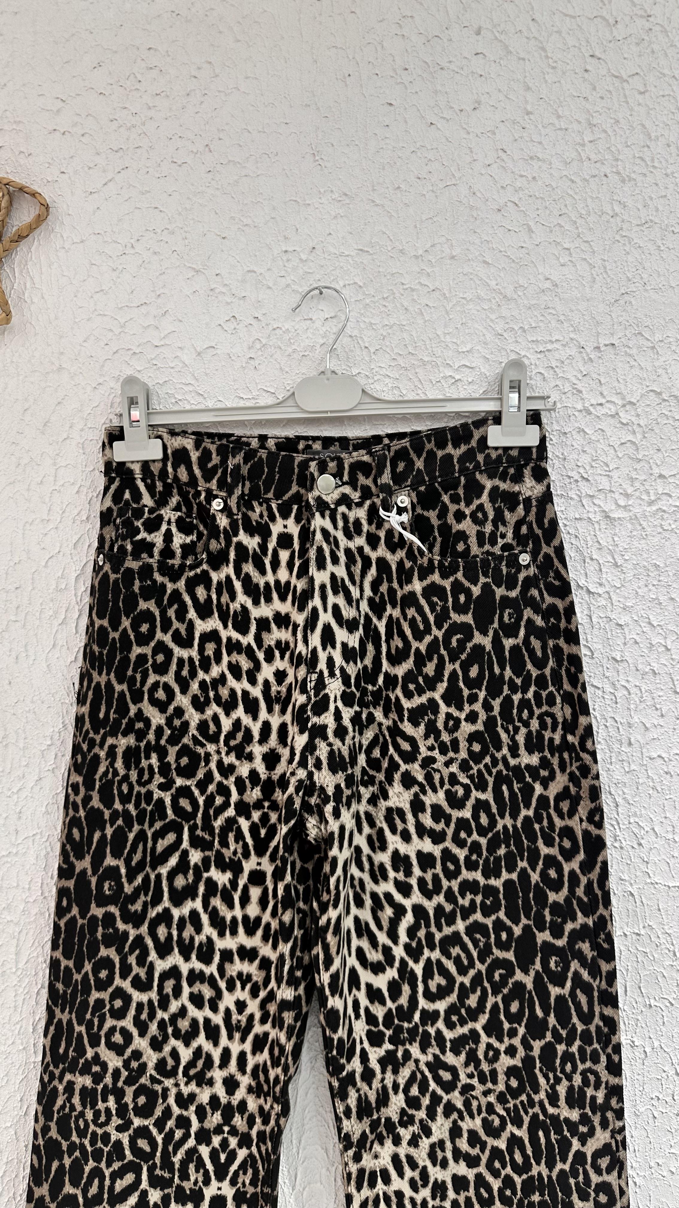 Leopar Kot