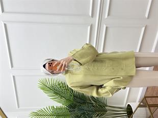 Korea Gömlek Adaçayı