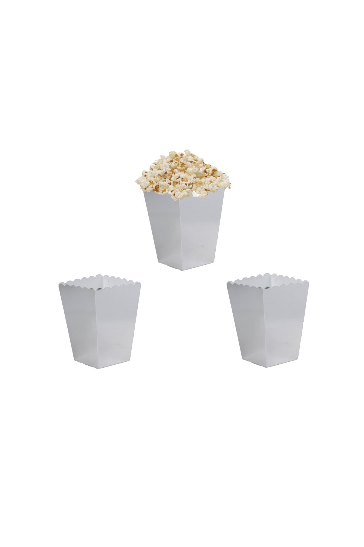 Gümüş Metalize Renk Mısır Kutusu 10'luPartistPSPST2193