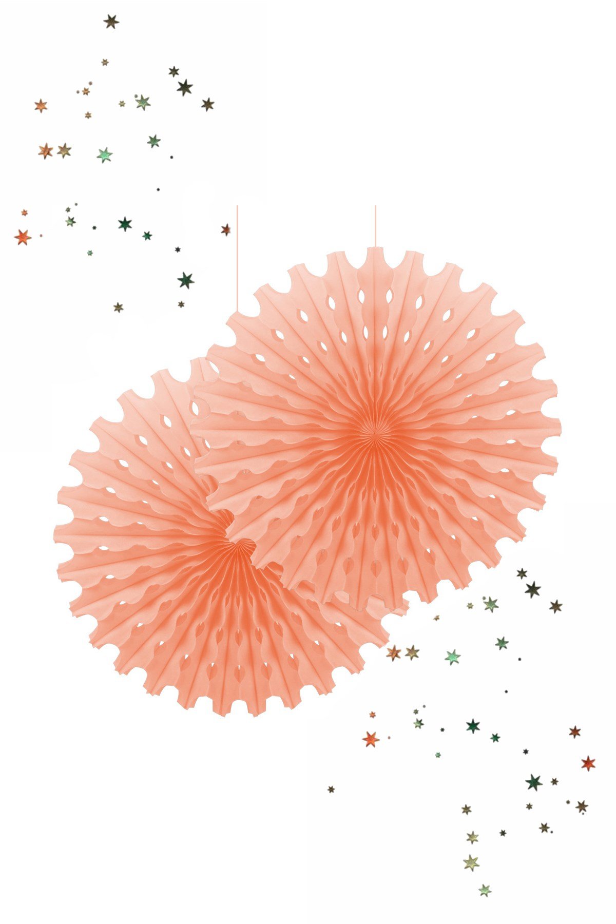 Kikajoy Yelpaze Süs Somon 2'liPartistST1909