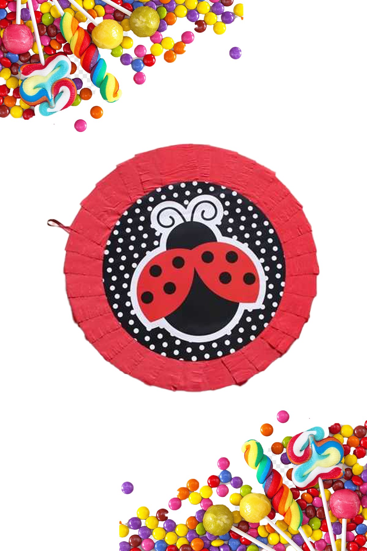 Pinyata Uğur Böceği TemalıPartistST2953