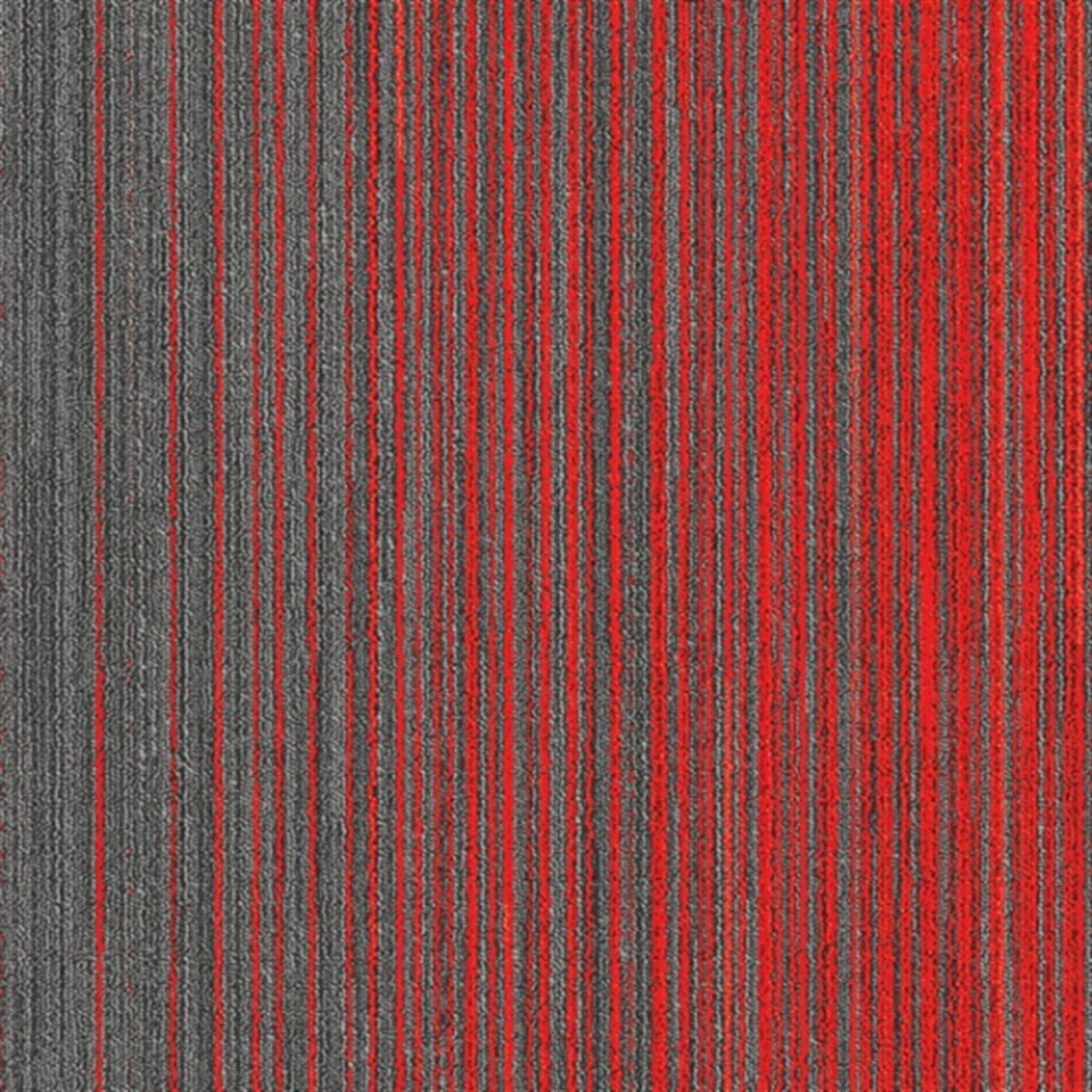 Apollo 8B Bitümen Taban Karo Halı