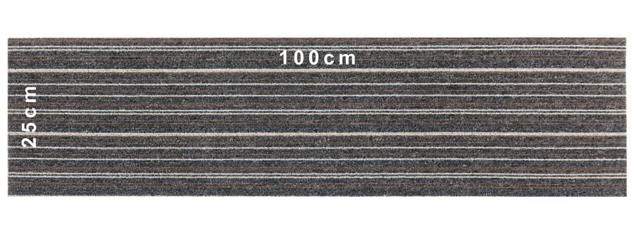 Astra Stripe 572 Plank Halı