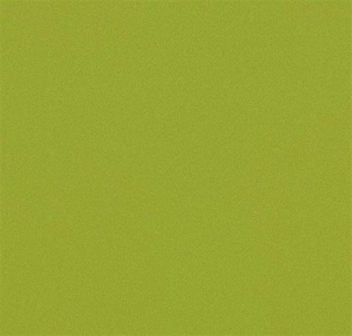 Forbo Allura Flex 9015 Gecko 50-1,00 Green 50*50 cm Loose Lay LVT