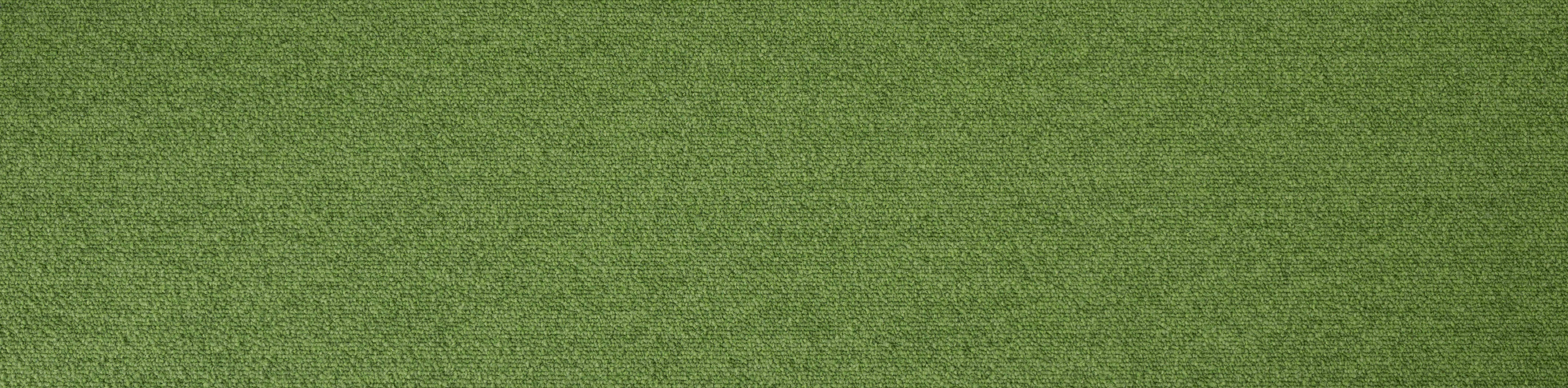 IMPETUS 2120 APPLE 25*100 PLANK HALI