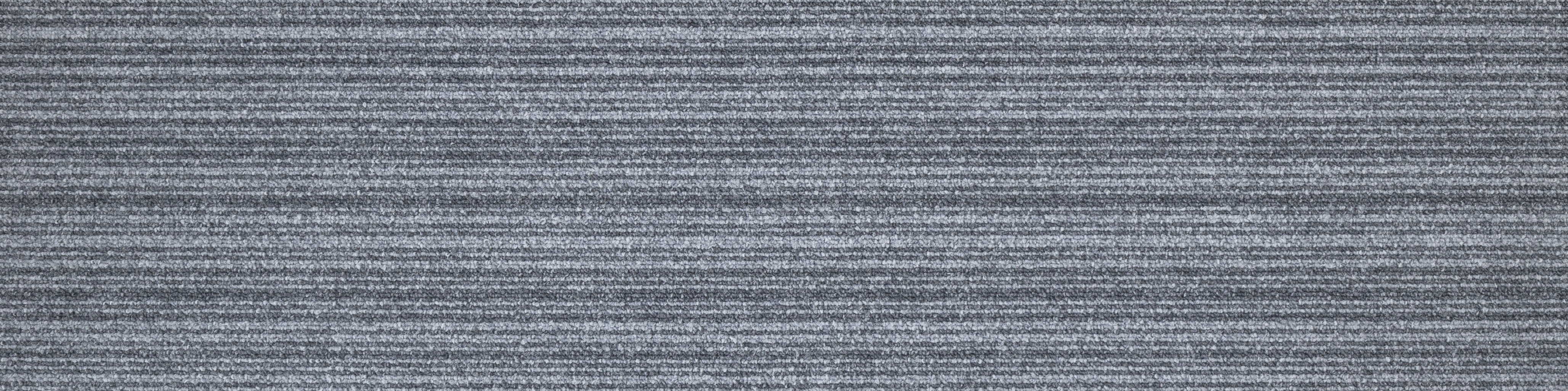 IMPETUS LINE 3102 25*100 PLANK HALI