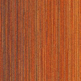 APOLLO 1C KEÇE TABAN KARO HALI