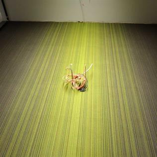 APOLLO 4C KEÇE TABAN KARO HALI