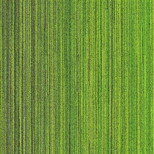 Apollo 4C Moss Green Bitümen Taban Karo Halı