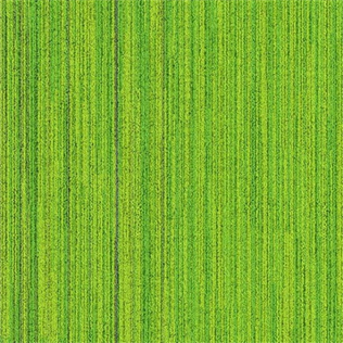 Apollo 4D Moss Green Bitümen Taban Karo Halı