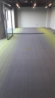 Apollo 4D Moss Green Bitümen Taban Karo Halı