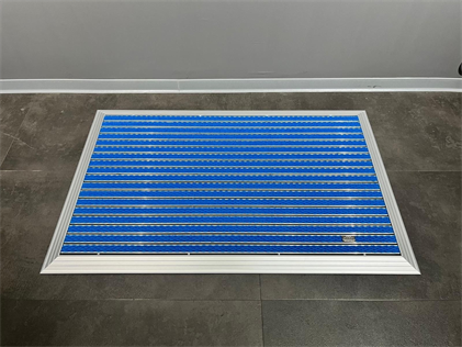 Artlines 20 mm Artnop Mavi Halı Yüzeyli 70x110 Alüminyum Paspas