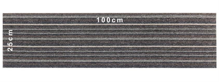 Astra Stripe 572 Plank Halı