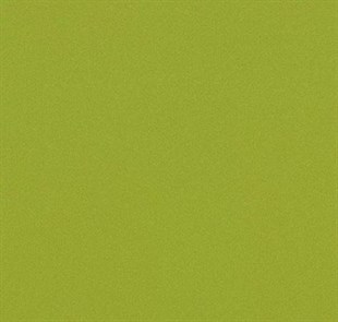 Flex 9015 Gecko Green Sök-Tak LVT 50CM*50CM