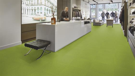 IMPETUS 2120 APPLE 50*50 cm KARO HALI