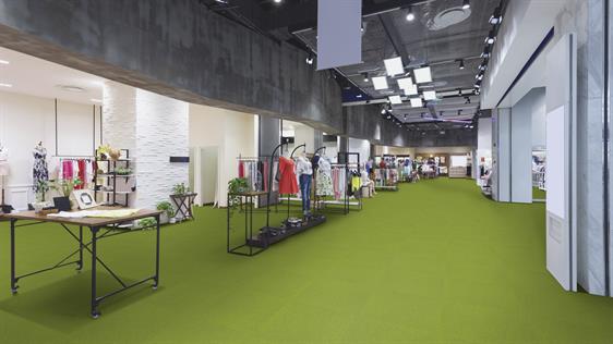 IMPETUS 2120 APPLE 50*50 cm KARO HALI