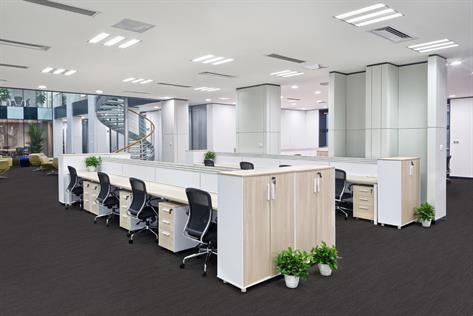 LOTUS 300 25*100 cm PLANK HALI