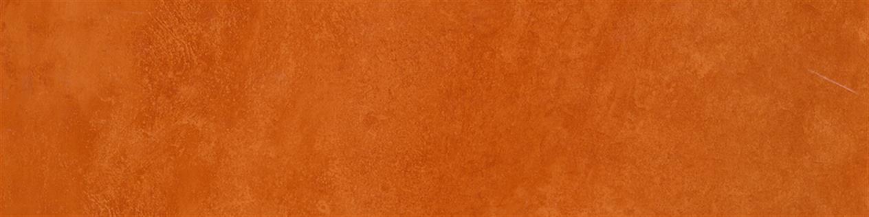 Upon Colors 10 Sök-Tak LVT 25*100 cm