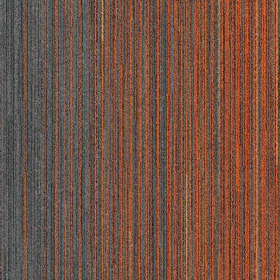 APOLLO 1B KEÇE TABAN KARO HALI