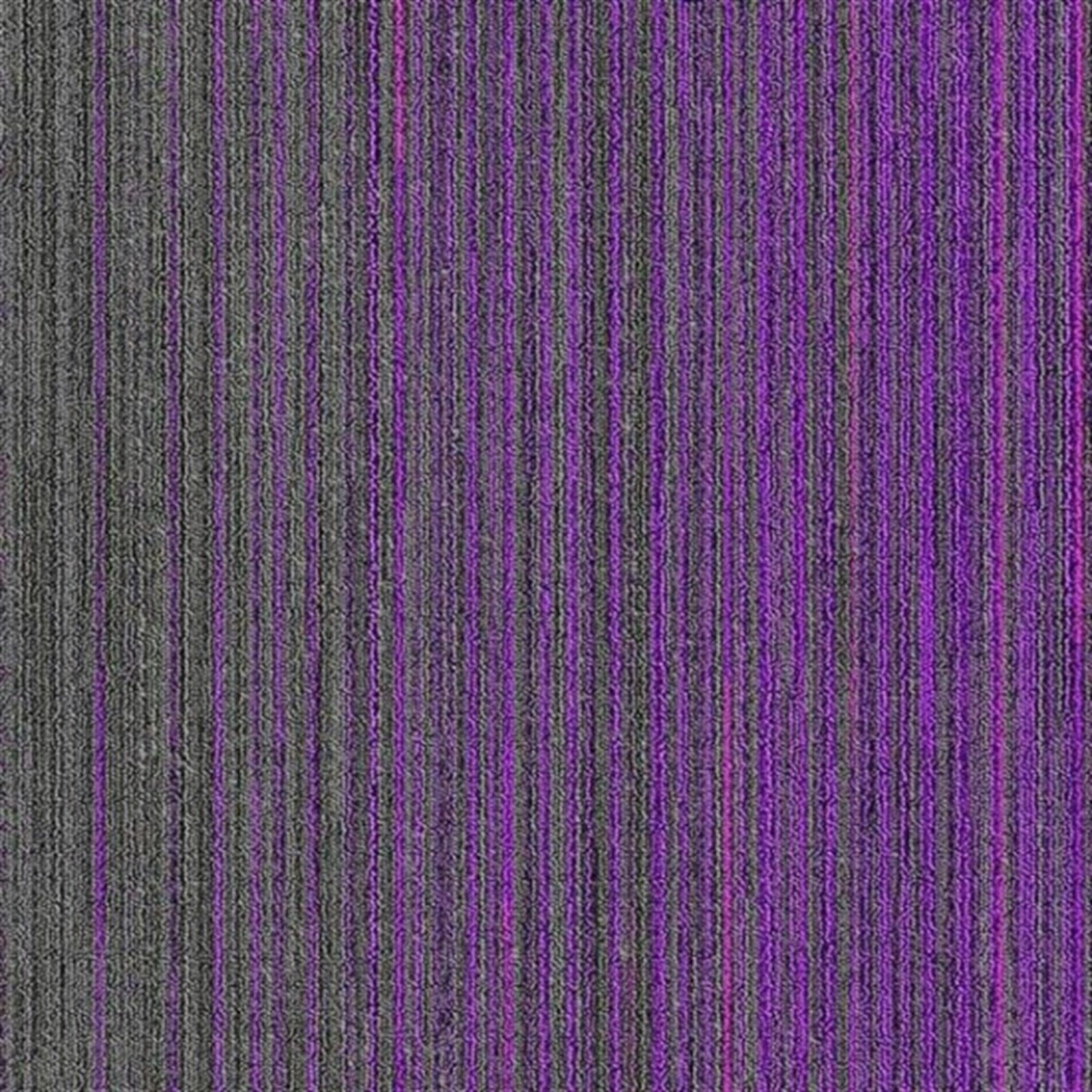 Apollo 2B Bitümen Taban Karo Halı