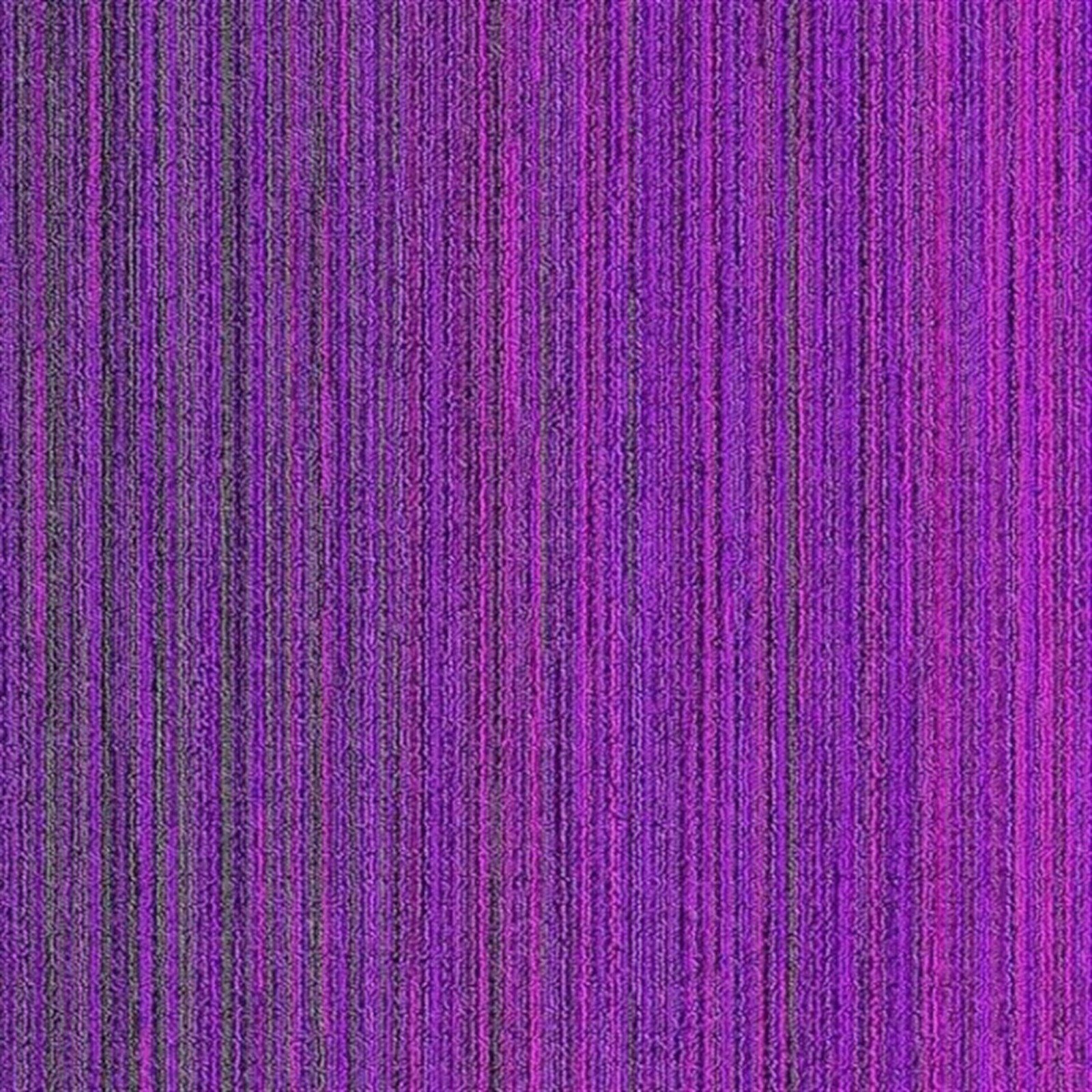 Apollo 2C Bitümen Taban Karo Halı