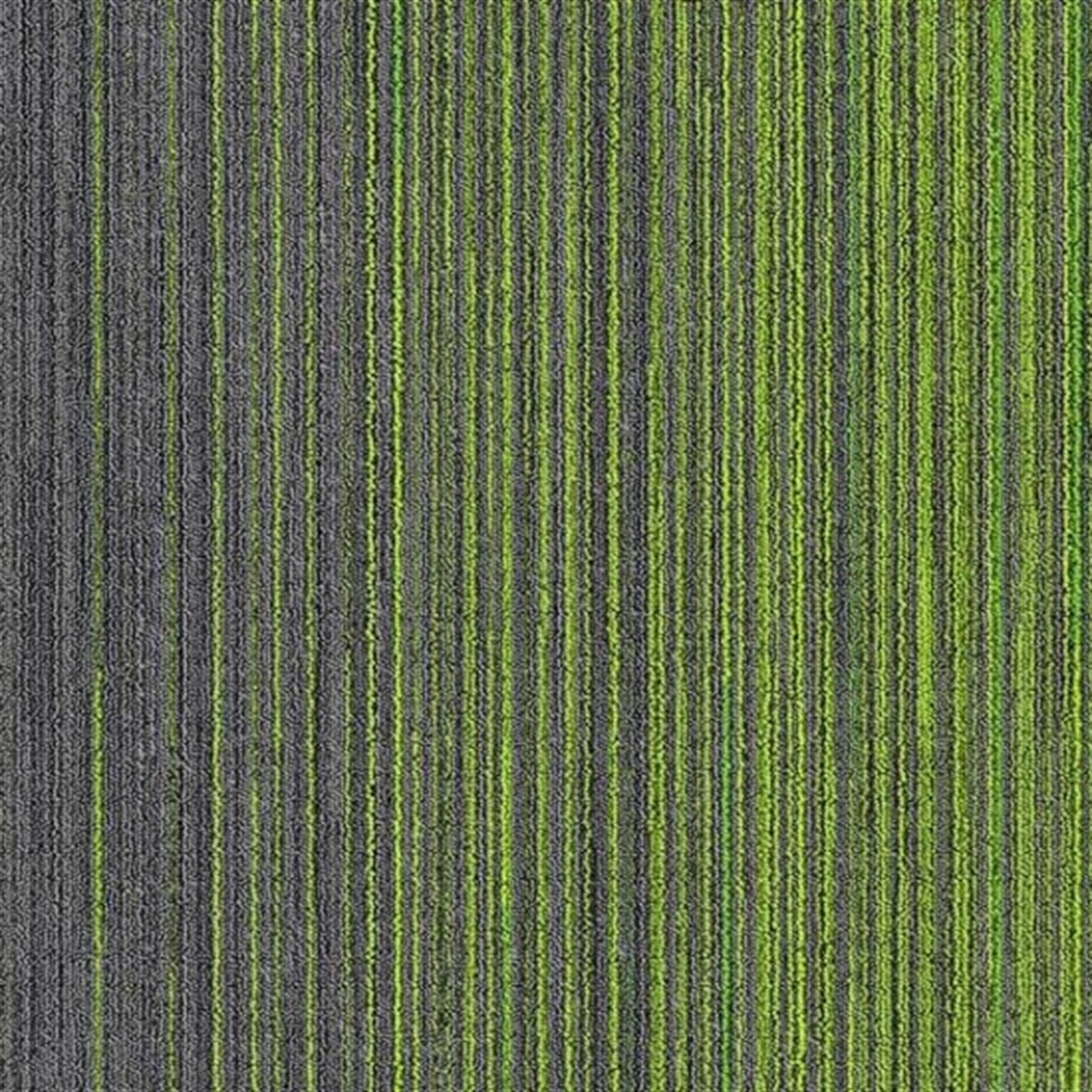 Apollo 4B Moss Green Bitümen Taban Karo Halı