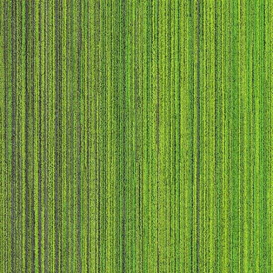 APOLLO 4C KEÇE TABAN KARO HALI