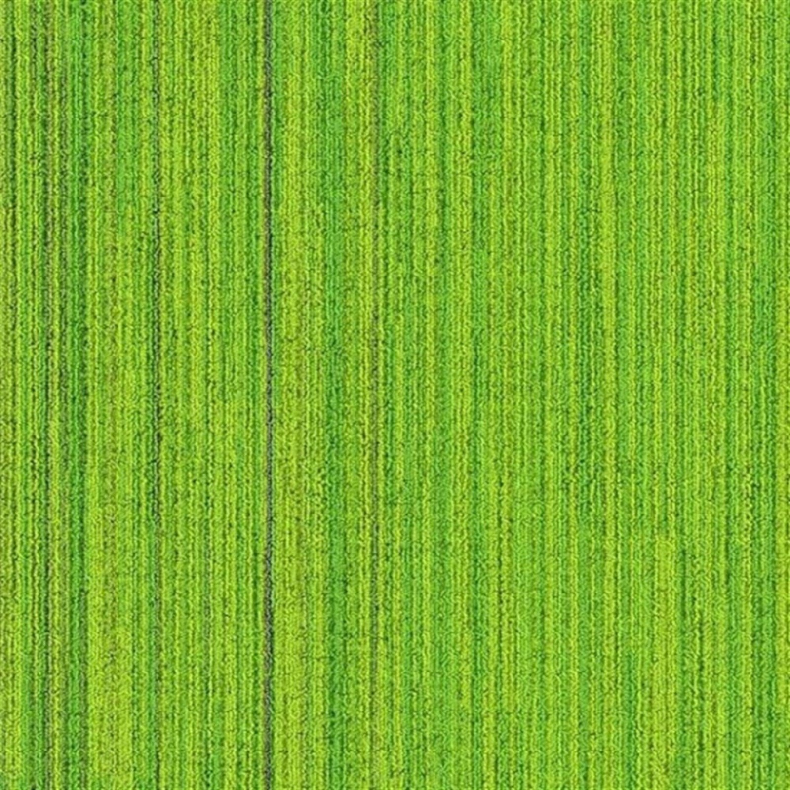 Apollo 4D Moss Green Bitümen Taban Karo Halı