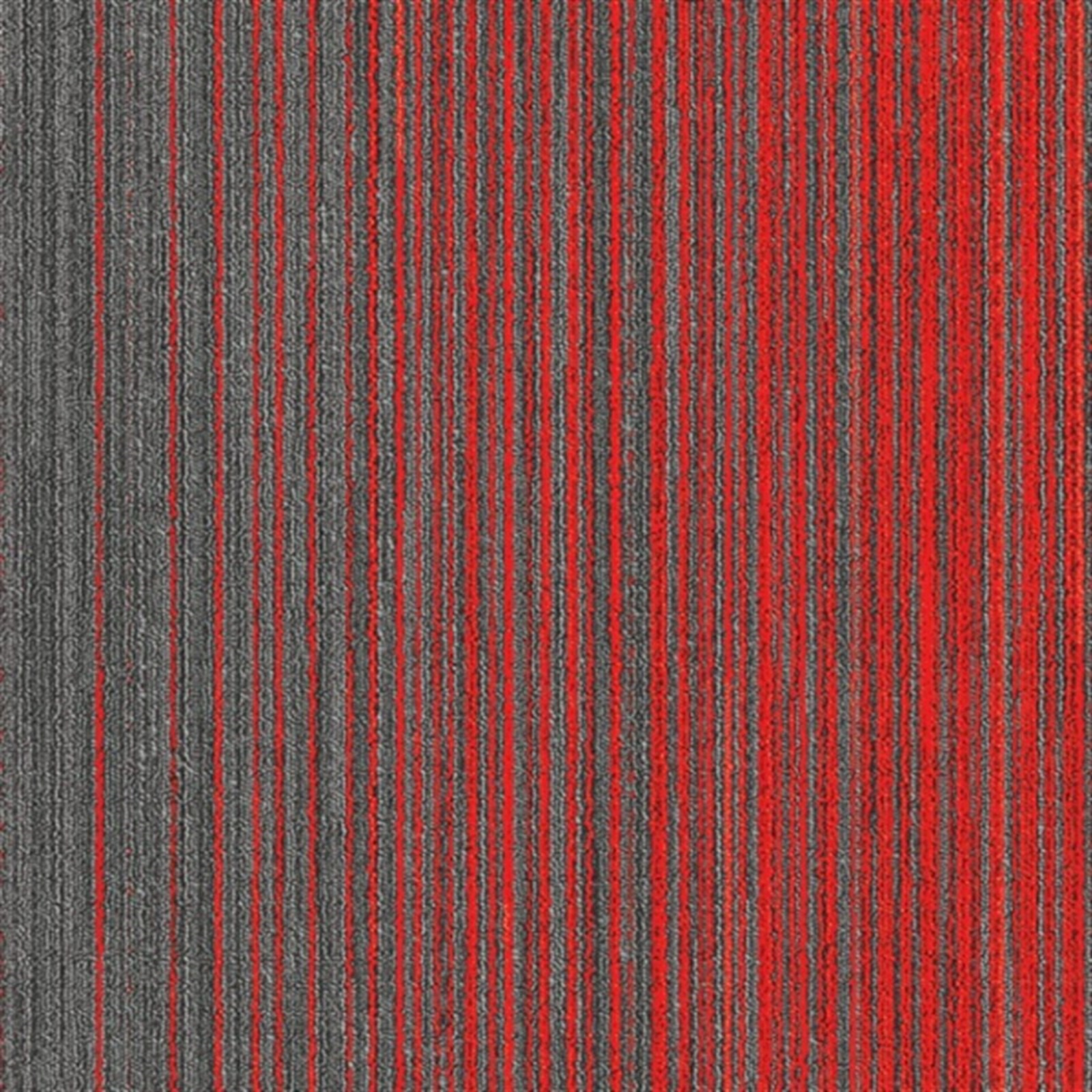 Apollo 8B Karo Halı