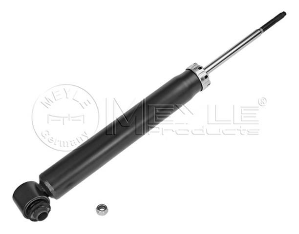 AMORTİSÖR ARKA SOL-SAĞ E53